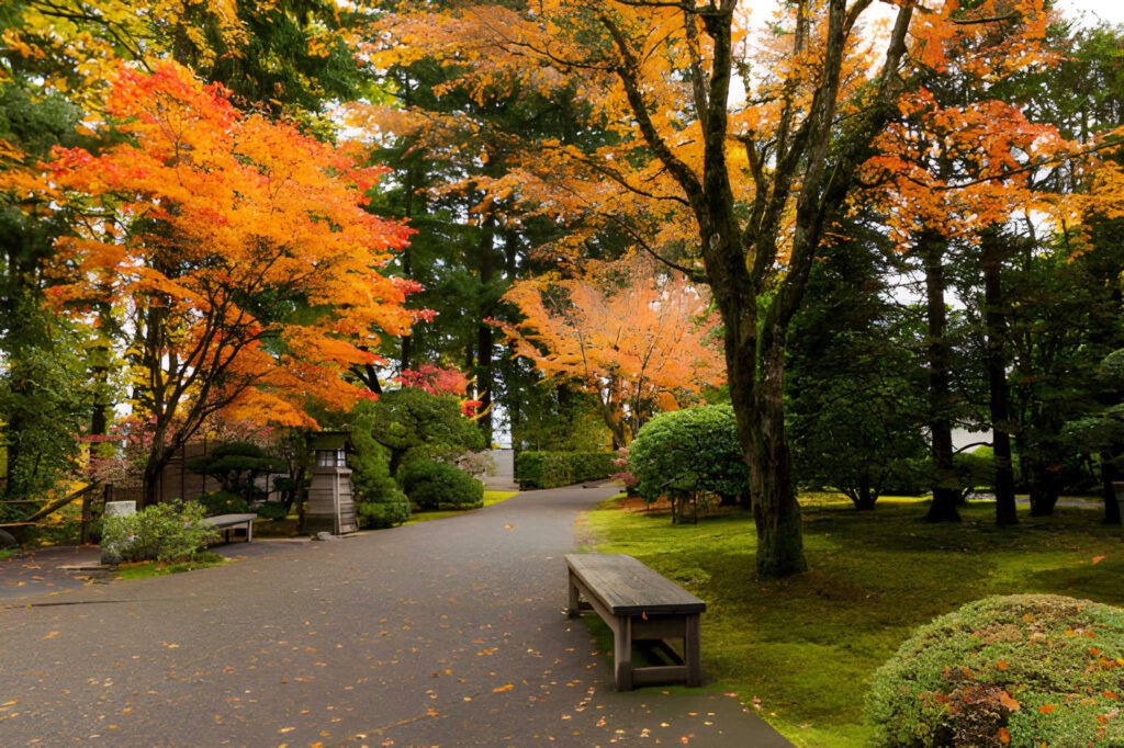 The Ultimate Guide to Living in Portland, Oregon Keeping It Weird, Rainy, and Remarkable