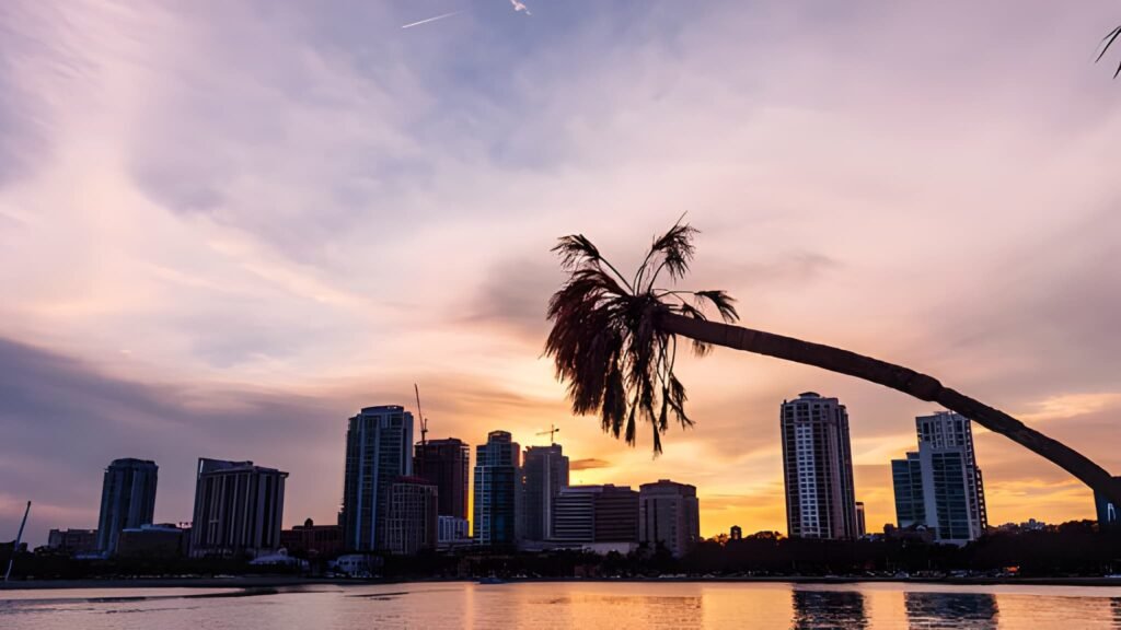 The Ultimate Guide to Living in Tampa Sun, Sprawl, and a Surging City on the Bay