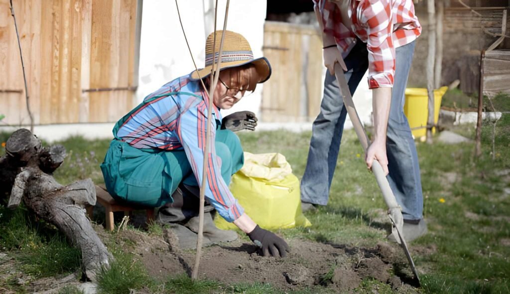 The Ecology of Community The Rise and Reality of the Eco Home Village