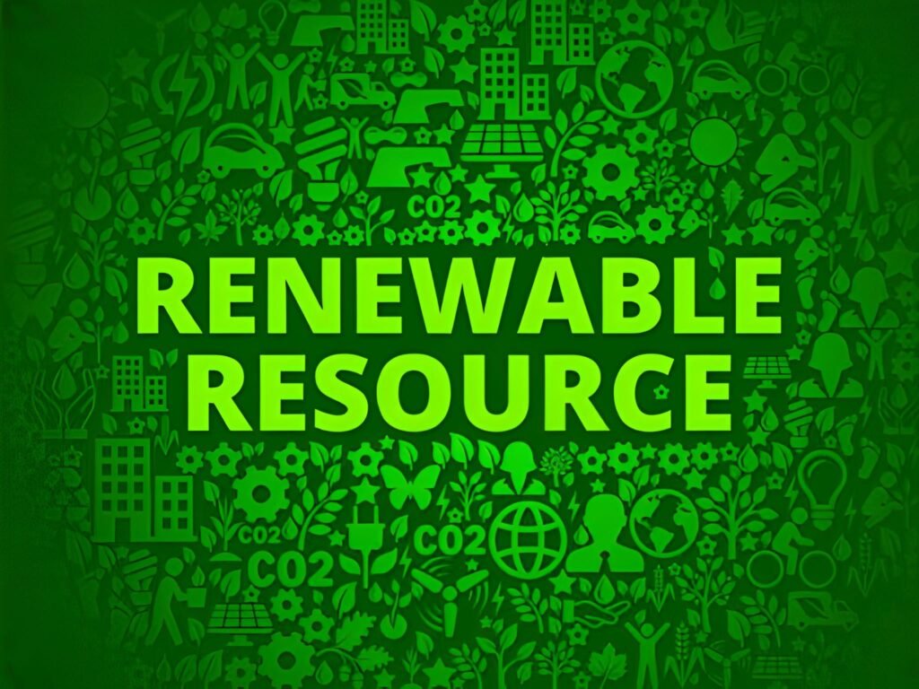 The Renewable Resource An Analysis of its Lifecycle and Value in a Finite World