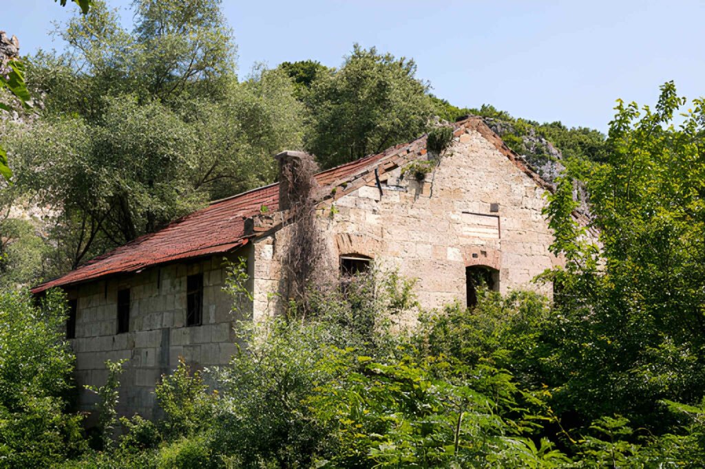 70-Year-Old Foundations Specialized Repair and Resilience for Vintage Homes